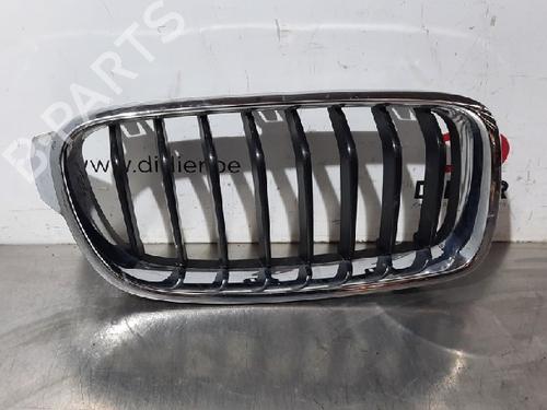 Used Grille BMW 3 (F30, F80) 318 d (150 hp) 10882121