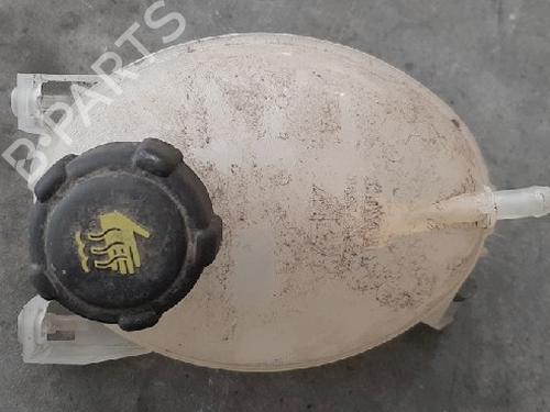 Ekpansionstank DACIA LODGY (JS_) 1.5 dCi (JSMC, JSAF) (107 hp) 10872115