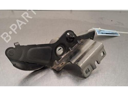 Hinge/Door check strap RENAULT TALISMAN (LP_) 2.0 Blue dCi 200 (LPAL) | BP32376514C146