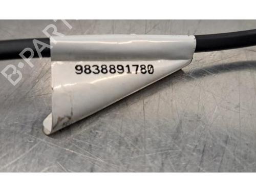 Other PEUGEOT EXPERT Van (V_) 2.0 BlueHDi 145 | BP30806441O1 