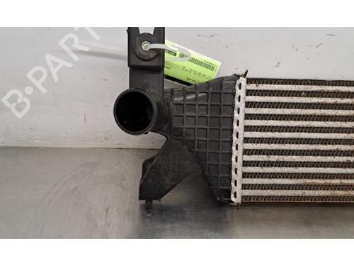Intercooler SUZUKI SX4 S-Cross (JY) 1.0 (AKK 310) | BP29521814M30 