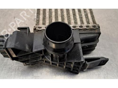 Intercooler MERCEDES-BENZ VITO Van (W447) 111 CDI (447.601, 447.603, 447.605) | BP24919130M30 