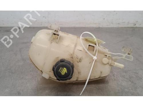 Used Expansion tank RENAULT KANGOO Express (FW0/1_) 1.5 dCi 95 (FW16) (95 hp) 26048888
