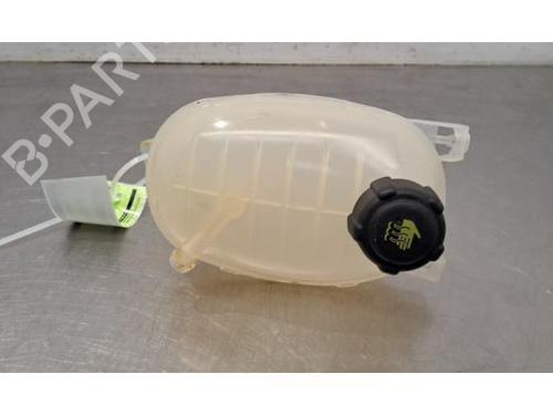 Used Expansion tank RENAULT EXPRESS Box Body/MPV 1.5 Blue dCi 95 (F6AB) (95 hp) 29343793