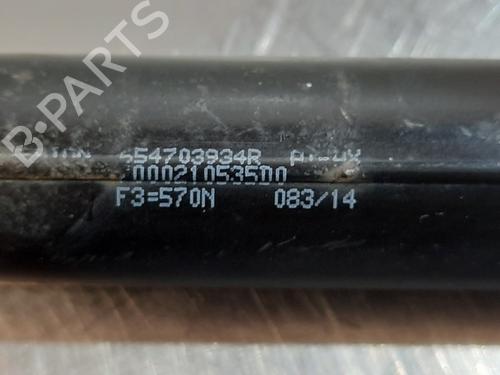 Hood lift support RENAULT CLIO IV (BH_) 1.5 dCi 75 | BP17113027C139 