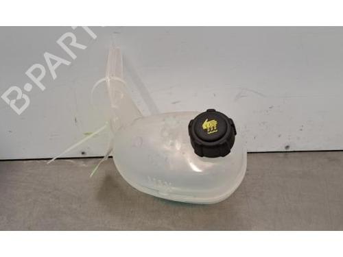 Vaso de expansão RENAULT SCENIC E-TECH PHASE I EV87 (218 hp) 30403947