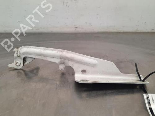 Used Hinge/Door check strap RENAULT KANGOO Express (FW0/1_) 1.5 dCi 90 (FW0G, FW05, FW08, FW11) (90 hp) 23608380