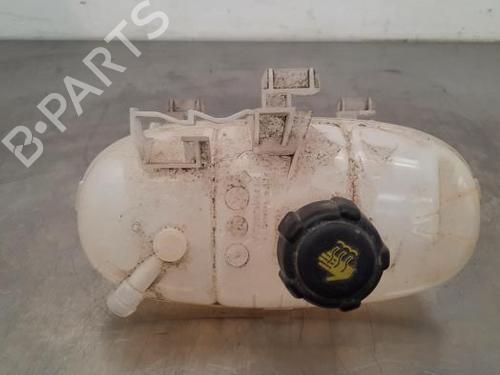 Used Expansion tank RENAULT TRAFIC III Van (FG_) 1.6 dCi 120 (FGMB, FGMC) (120 hp) 23605044