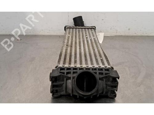 Intercooler FORD TRANSIT V363 Van (FCD, FDD) 2.0 EcoBlue | BP30057254M30