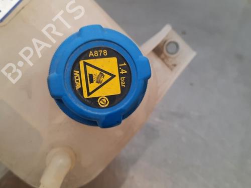 Expansion tank FIAT DOBLO Cargo (263_) 1.3 D Multijet | BP17111435C120