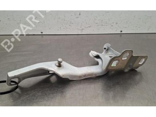 hingedoor-check-strap-renault-trafic-iii-van-fg_-2014-37862164 main image