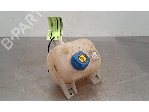 Used Expansion tank FIAT DOBLO Cargo (263_) 1.3 D Multijet (263WXU1A, 263ZXU1A, 263WYB1A, 263ZYB1A) (95 hp) 24014954