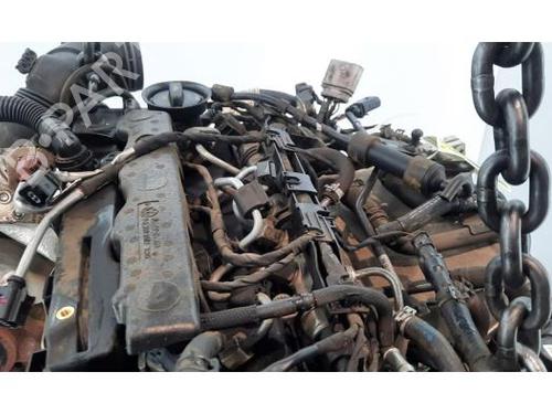 Engine SKODA OCTAVIA III Combi (5E5, 5E6) 1.6 TDI | BP31961395M1 - Image 5