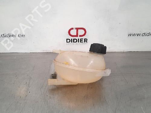 Used Expansion tank DACIA LOGAN MCV II TCe 90 (K8M1, K8MA, K8AC) (90 hp) 10885973