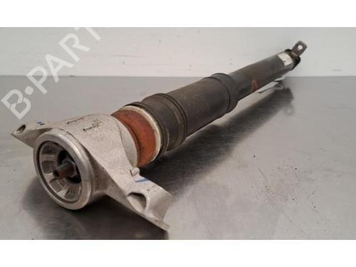 Right rear shock absorber PEUGEOT 308 III (FB_, FH_, FP_, F3_, FM_) e-308 (FMZKWZ) | BP29317982M19 