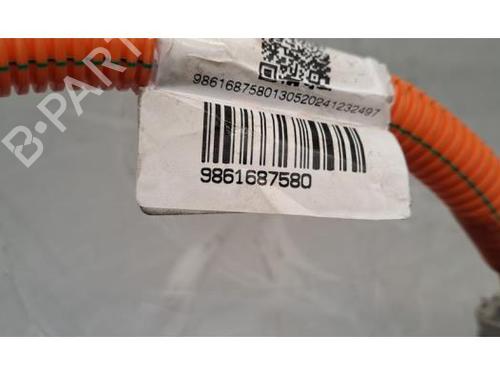 Cable CITROËN C3 IV (CC_, CB_) ë-C3 (CBZYAZ) | BP31154984E12