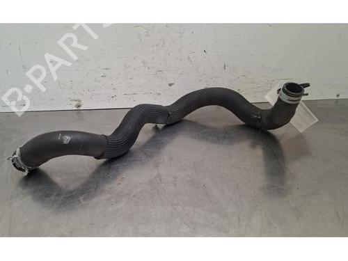 Pipe RENAULT MEGANE IV Hatchback (B9A/M/N_) 1.3 TCe 140 (B9NB) | BP38043898M125 - Image 3