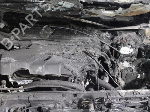 - Image 10