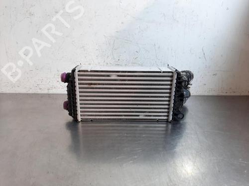 Intercooler PEUGEOT 2008 II (UD_, US_, UY_, UJ_, UR_, UC_) 1.2 Hybrid 136 (URHPYC, USHPY) | BP30915787M30