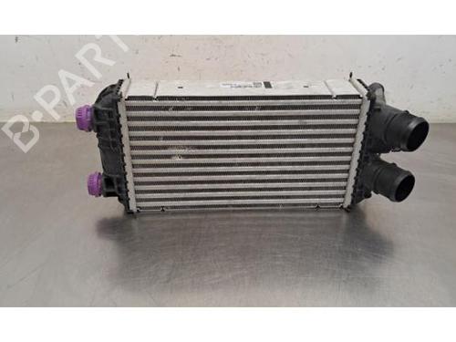 Intercooler DS DS 3 / DS 3 CROSSBACK (UR_, UC_, UJ_) 1.2 Hybrid 136 (URHPYF) | BP35315069M30 - Image 2