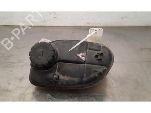 Used Expansion tank MERCEDES-BENZ VITO Van (W447) 111 CDI (447.601, 447.603, 447.605) (114 hp) 24919127