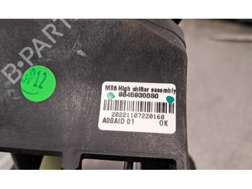 Gear lever PEUGEOT 208 II (UB_, UP_, UW_, UJ_) 1.5 BlueHDI 100 | BP24459317M90 