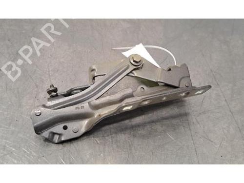 Hinge/Door check strap PEUGEOT 3008 II SUV (MC_, MR_, MJ_, M4_) 1.5 BlueHDi 130 | BP29214837C146 