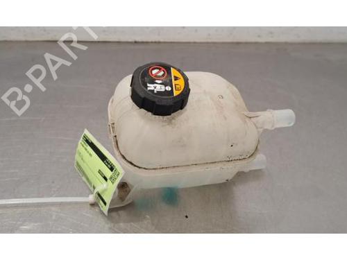 Used Expansion tank HYUNDAI IONIQ 5 (NE) EV (217 hp) 31154502