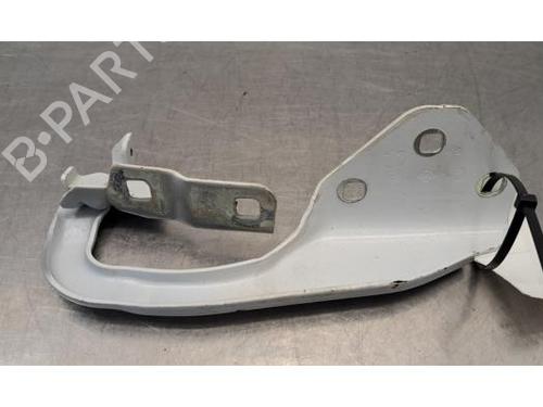 Hinge/Door check strap DACIA DUSTER (HM_) 1.2 TCe 125 (HMMA) | BP40483916C146 - Image 2
