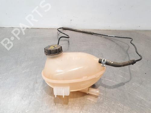 Used Expansion tank FORD FIESTA VII (HJ, HF) 1.1 Ti-VCT (86 hp) 11232282