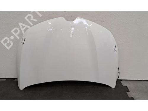 Used Hood Hood RENAULT CLIO V (B7_) 1.5 Blue dCi 100 (B7AD) (101 hp) 40050061 40050061