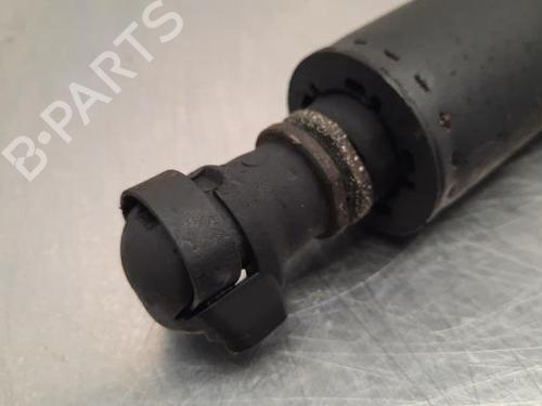 Tailgate lift support BMW X4 (G02, F98) xDrive 30 d | BP23612829C138 