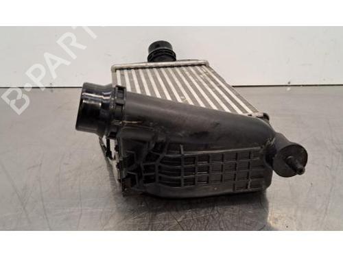 Intercooler NISSAN MICRA V (K14) 1.0 IG-T | BP31347346M30 