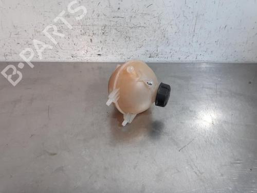 Expansion tank PEUGEOT EXPERT Van (VF3A_, VF3U_, VF3X_) 2.0 HDi 130 | BP29015986C120 
