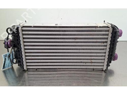 Intercooler Intercooler PEUGEOT 2008 II (UD_, US_, UY_, UJ_, UR_, UC_) 1.2 PureTech 100 (USHNK) (101 hp) 34117965 34117965