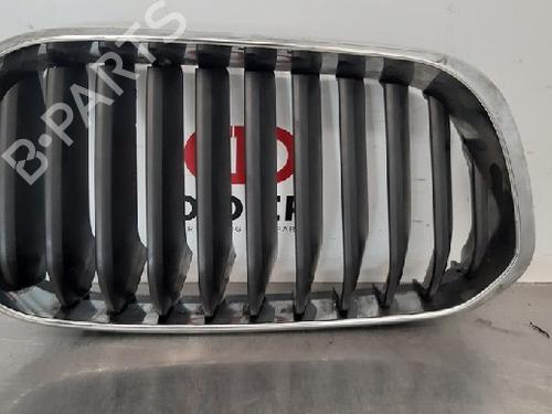 Used Grille BMW 1 (F20) 116 d (116 hp) 10872837