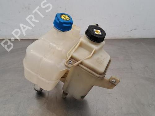 Power steering reservoir FIAT DUCATO Bus (250_) 120 Multijet 2,3 D | BP23603137M117 