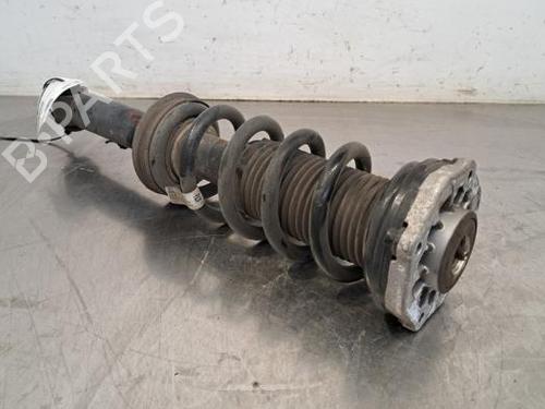 Left rear shock absorber BMW X4 (G02, F98) xDrive 30 d | BP23613017M18 