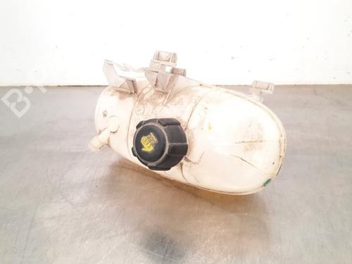 Used Expansion tank RENAULT TRAFIC III Van (FG_) 1.6 dCi 90 (FGME) (90 hp) 15790653