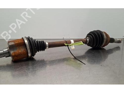 BP31165539M39 main image