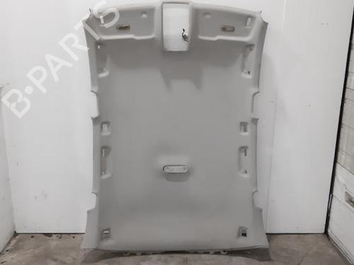 Interior roof AUDI Q5 (8RB) 2.0 TDI quattro | BP15022921I12