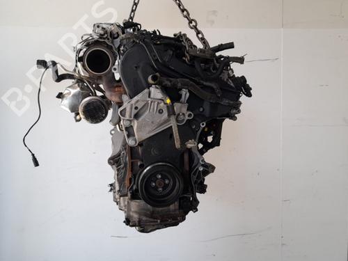 Engine SKODA OCTAVIA IV Combi (NX5, PV5) 2.0 TDi | BP15793404M1