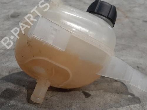 Expansion tank RENAULT TWINGO III (BCM_, BCA_) 1.0 SCe 70 | BP10872087C120 