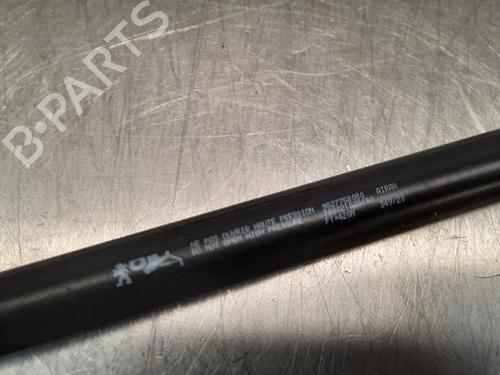 Tailgate lift support PEUGEOT 208 II (UB_, UP_, UW_, UJ_) 1.2 PureTech 75 | BP23586739C138 
