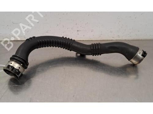 BP31166936O1 main image