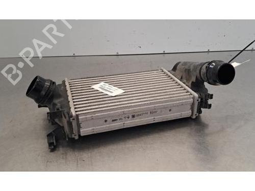 Used Intercooler Intercooler DACIA SANDERO III 1.0 SCe 65 (67 hp) 40050002 40050002