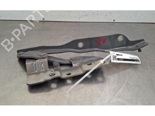 hingedoor-check-strap-hyundai-ioniq-5-ne-2020-37148551 main image