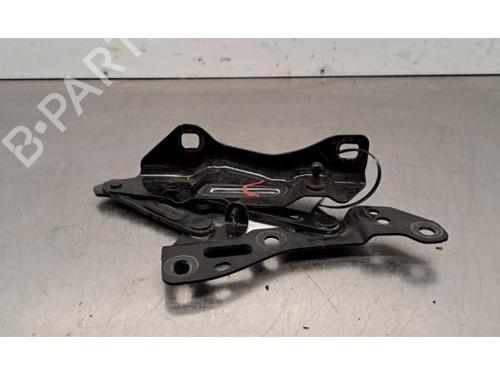 Used Hinge/Door check strap TESLA MODEL X (5YJX) EV AWD (796 hp) 30521530