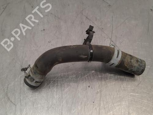 Pipe TESLA MODEL S (5YJS) 70D AWD | BP19632465M125 