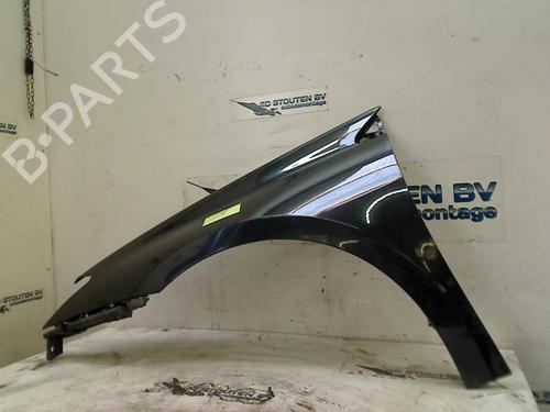 Left front fenders RENAULT LAGUNA III (BT0/1) 2.0 16V Turbo | BP12589544C41 